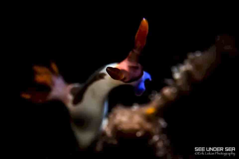 Thumbnail 1 Thumbnail 1