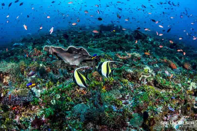 Thumbnail 4 Thumbnail 4