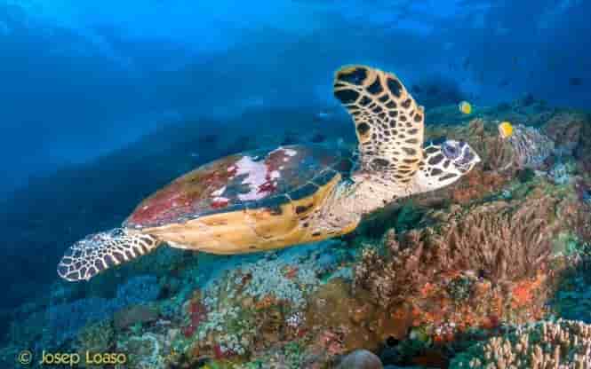 Thumbnail 3 Thumbnail 3