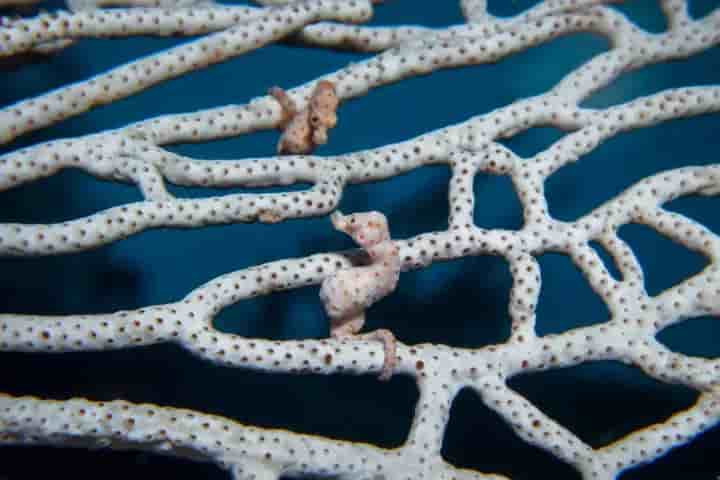 Thumbnail 5 Thumbnail 5