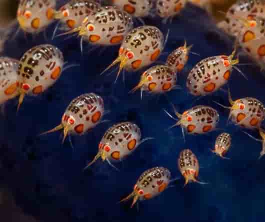 Thumbnail 2 Thumbnail 2