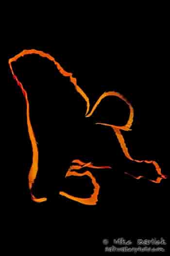 Thumbnail 5 Thumbnail 5