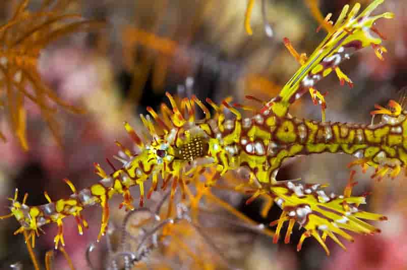 Thumbnail 6 Thumbnail 6