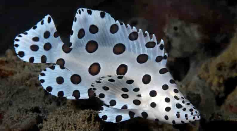 Thumbnail 8 Thumbnail 8