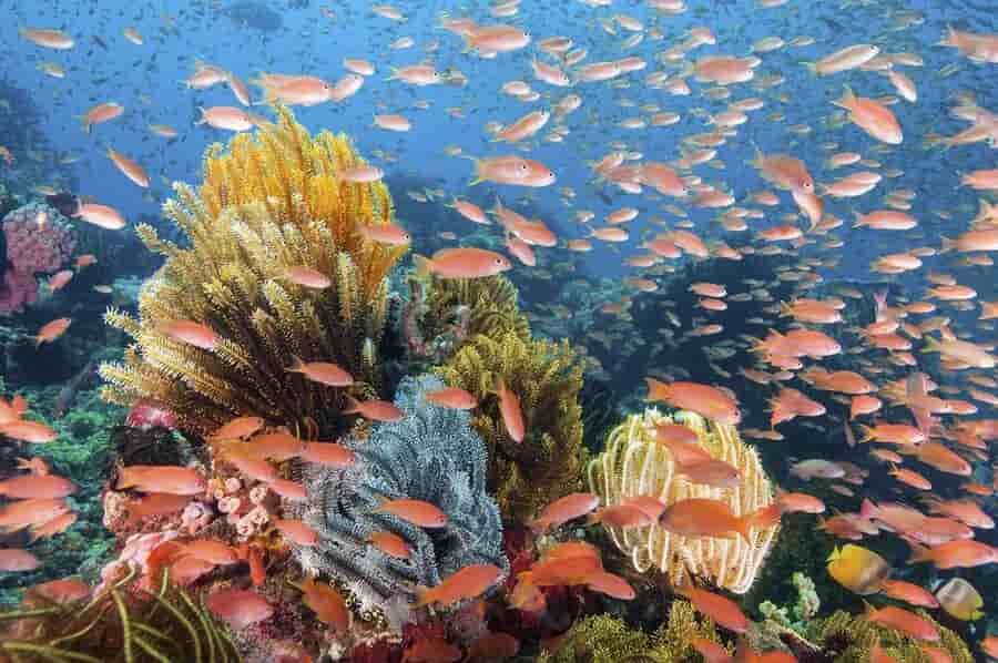 Thumbnail 1 Thumbnail 1