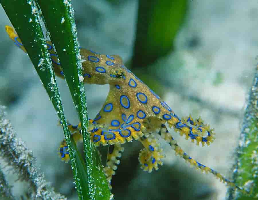 Thumbnail 4 Thumbnail 4