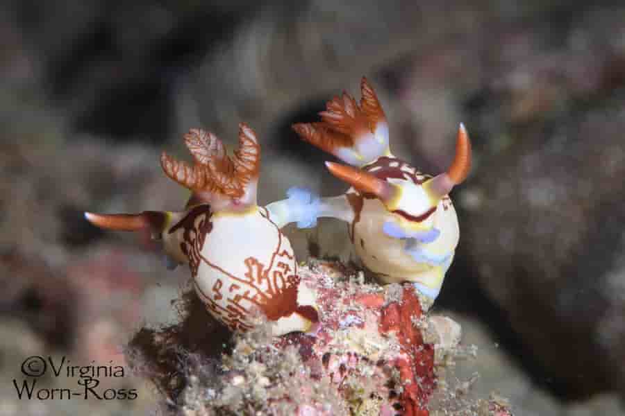 Thumbnail 2 Thumbnail 2