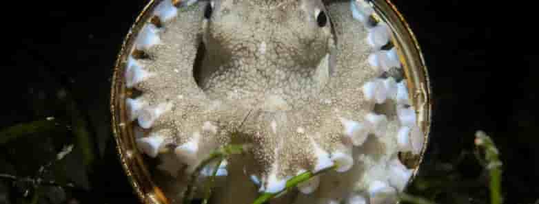 Thumbnail 5 Thumbnail 5