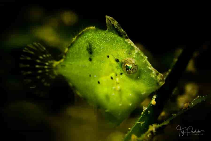 Thumbnail 6 Thumbnail 6