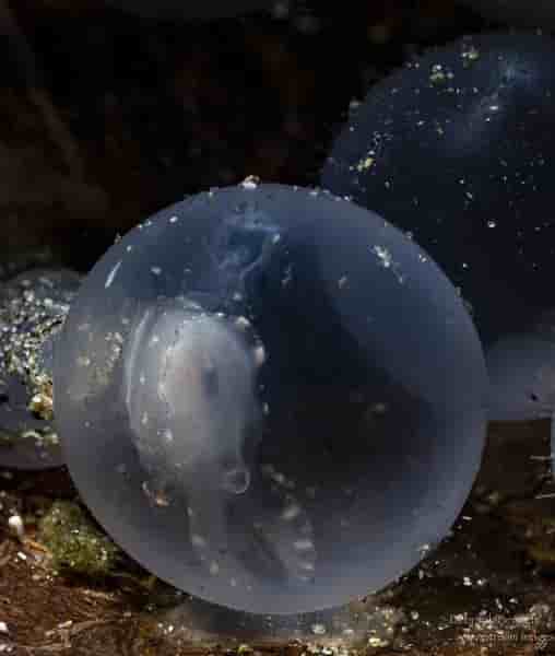 Thumbnail 8 Thumbnail 8