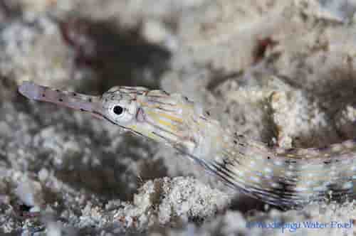 Thumbnail 3 Thumbnail 3