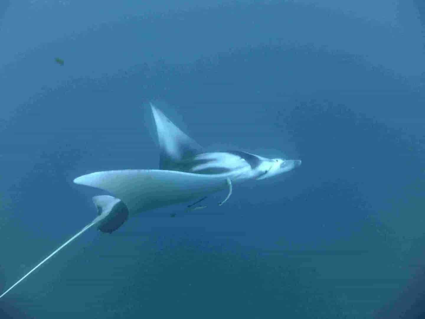 Thumbnail 2 Thumbnail 2