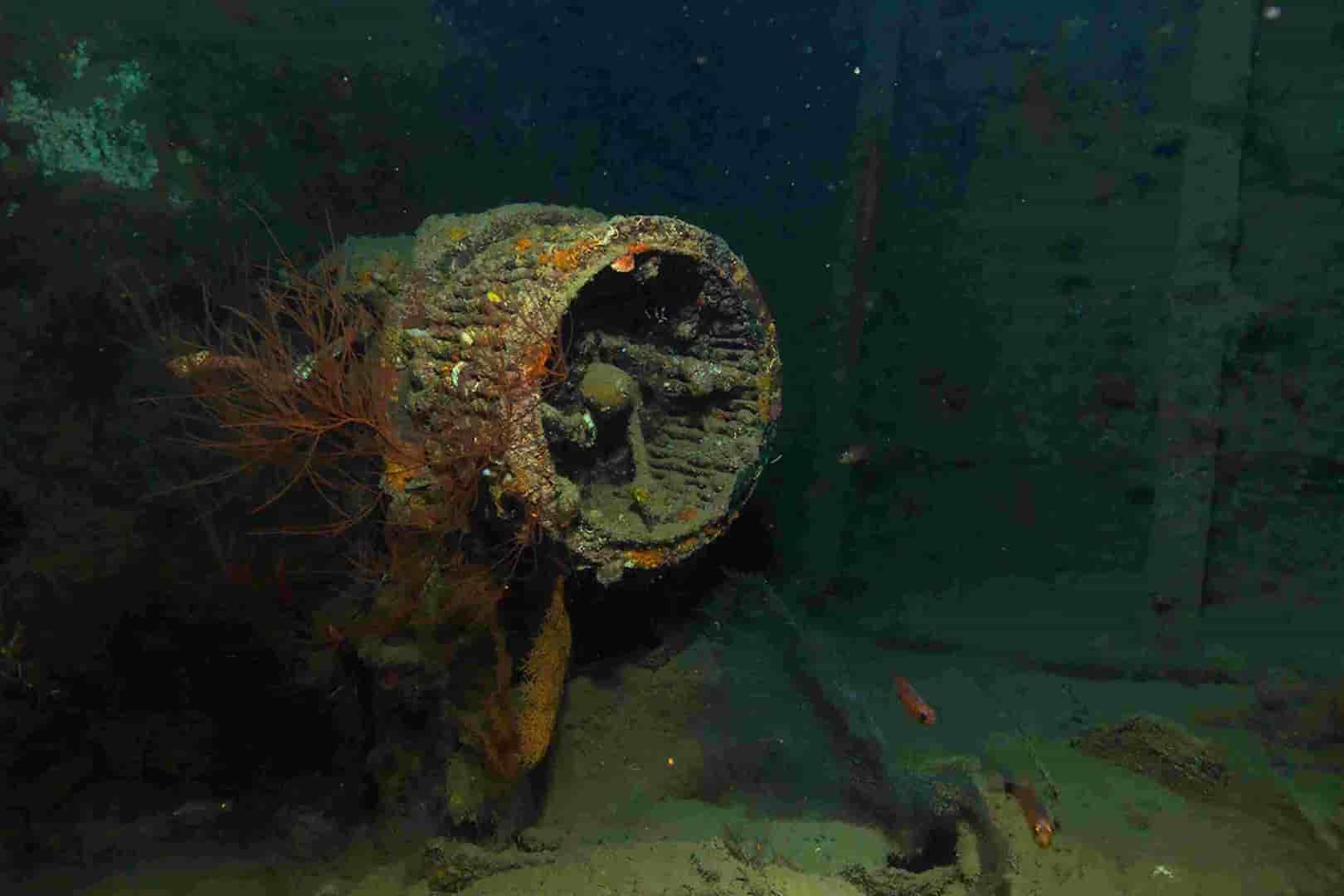 Thumbnail 4 Thumbnail 4