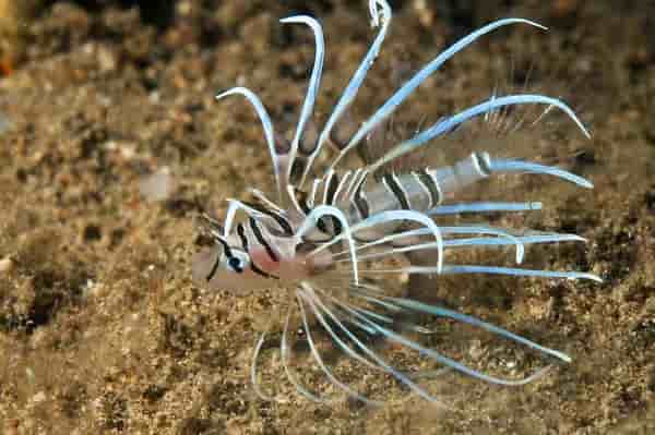 Thumbnail 2 Thumbnail 2