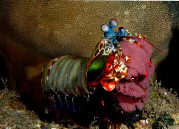 Thumbnail 3 Thumbnail 3