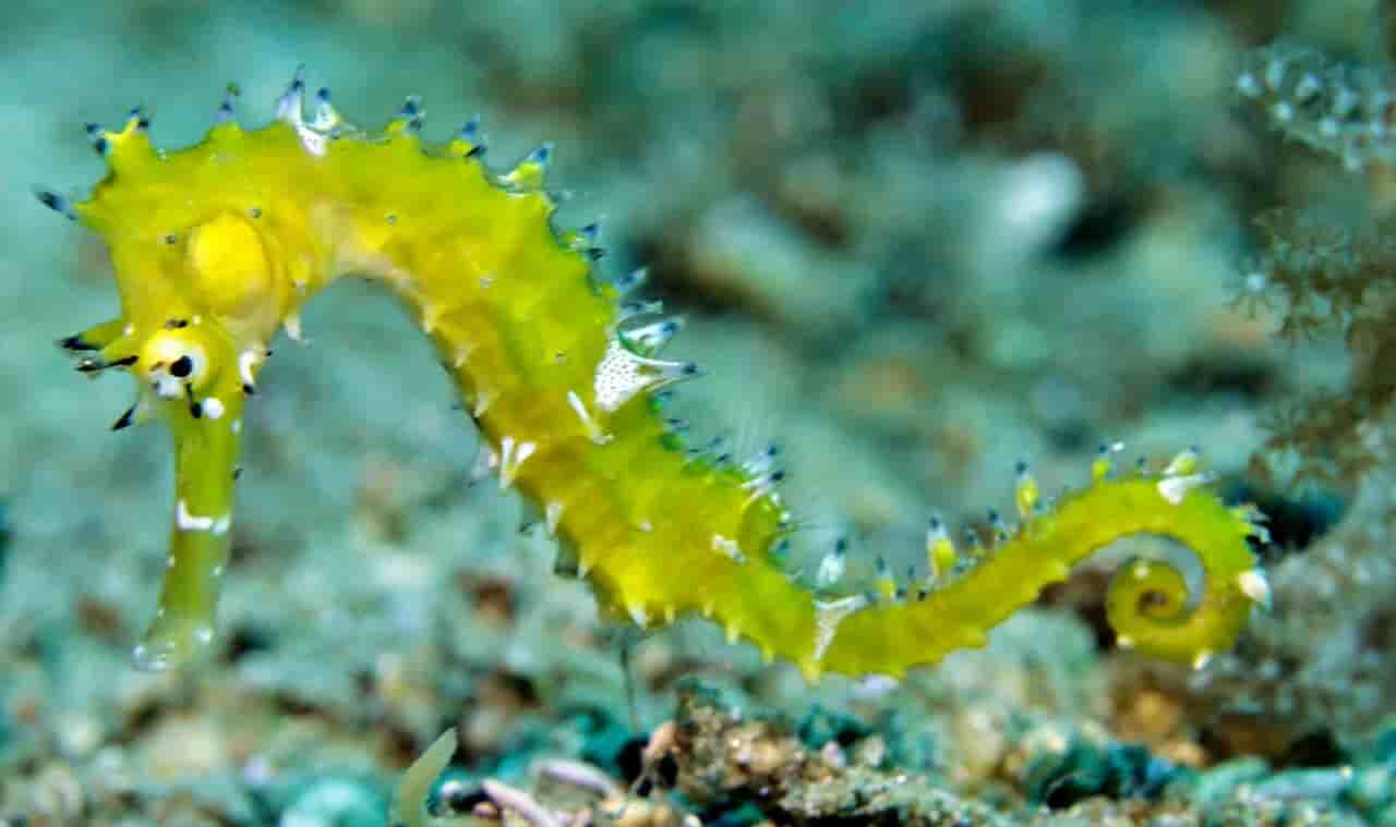 Thumbnail 3 Thumbnail 3