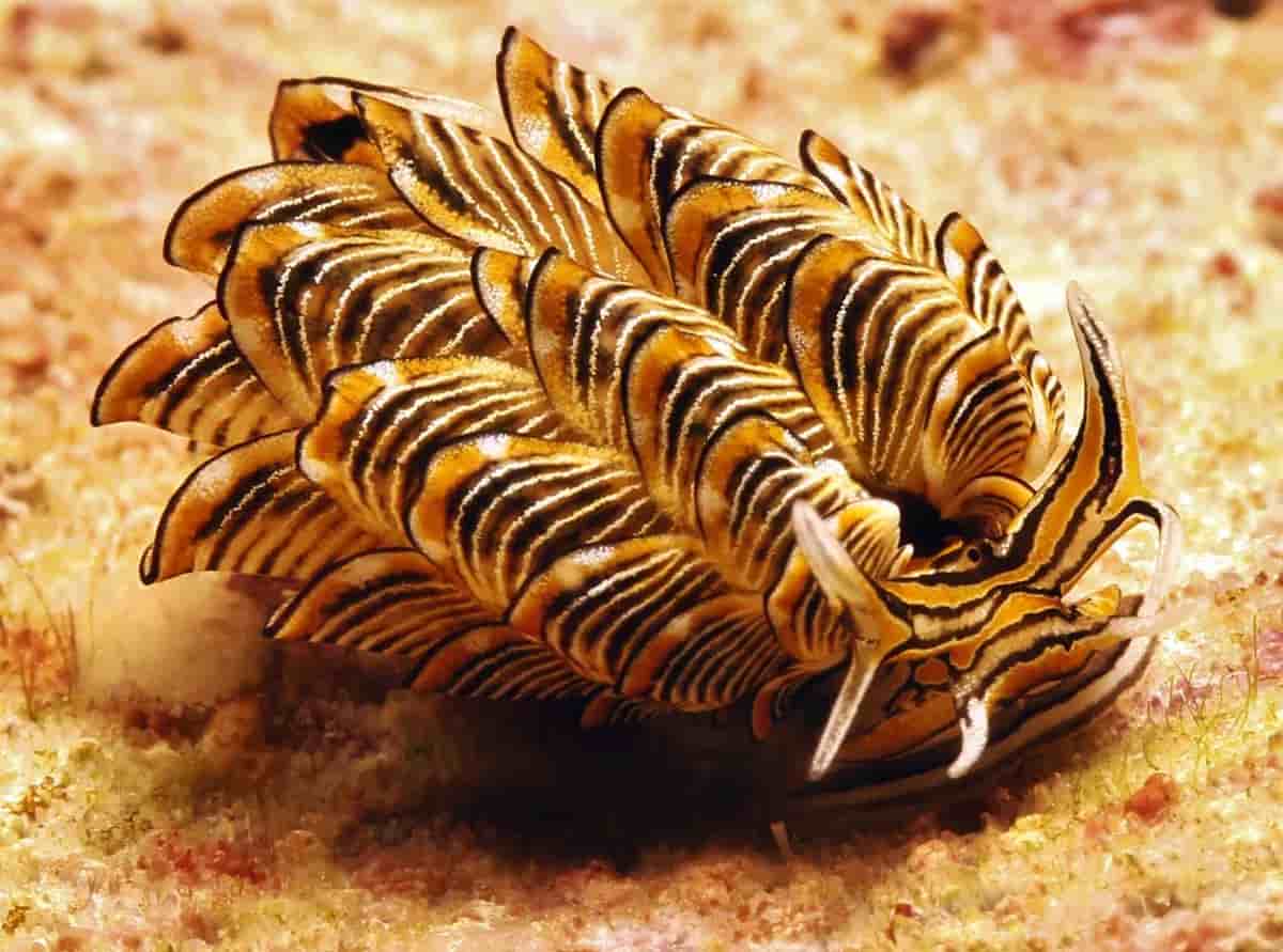 Thumbnail 6 Thumbnail 6