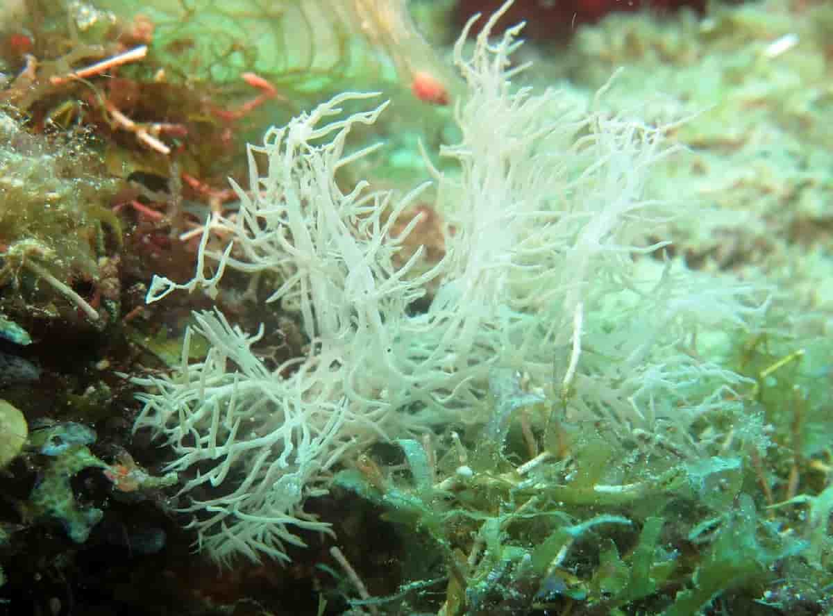 Thumbnail 7 Thumbnail 7