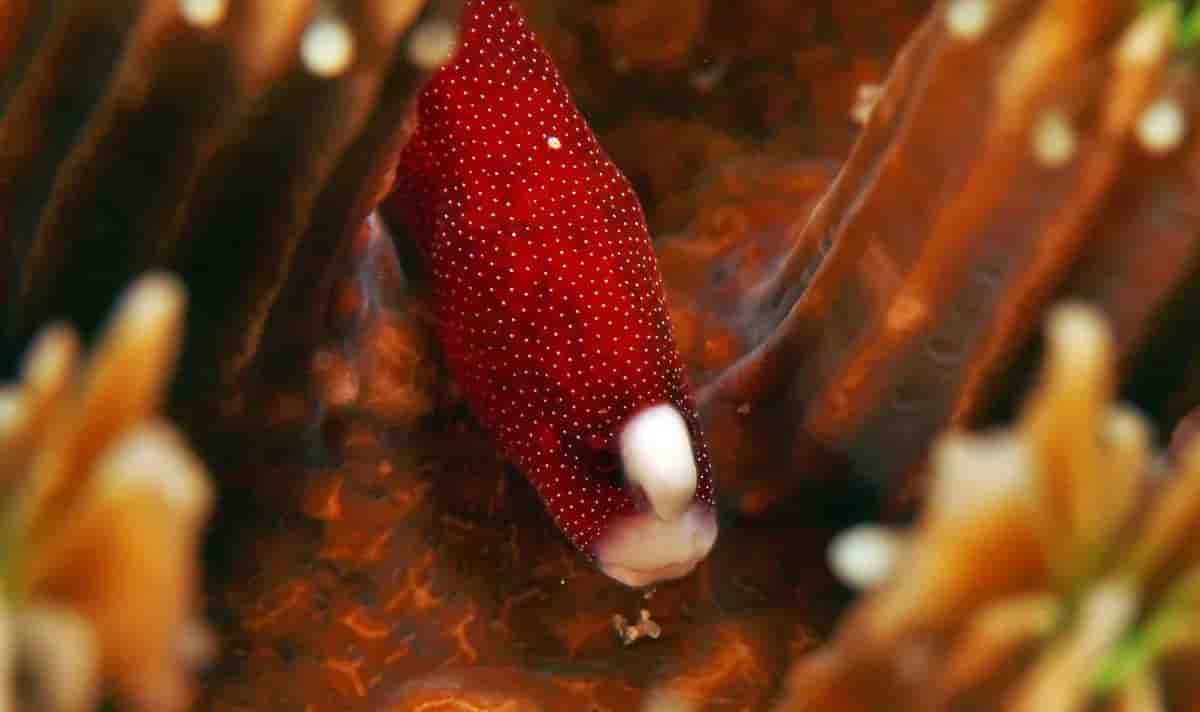 Thumbnail 8 Thumbnail 8