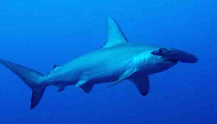 Thumbnail 3 Thumbnail 3