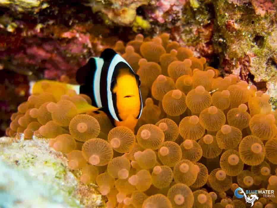 Thumbnail 9 Thumbnail 9