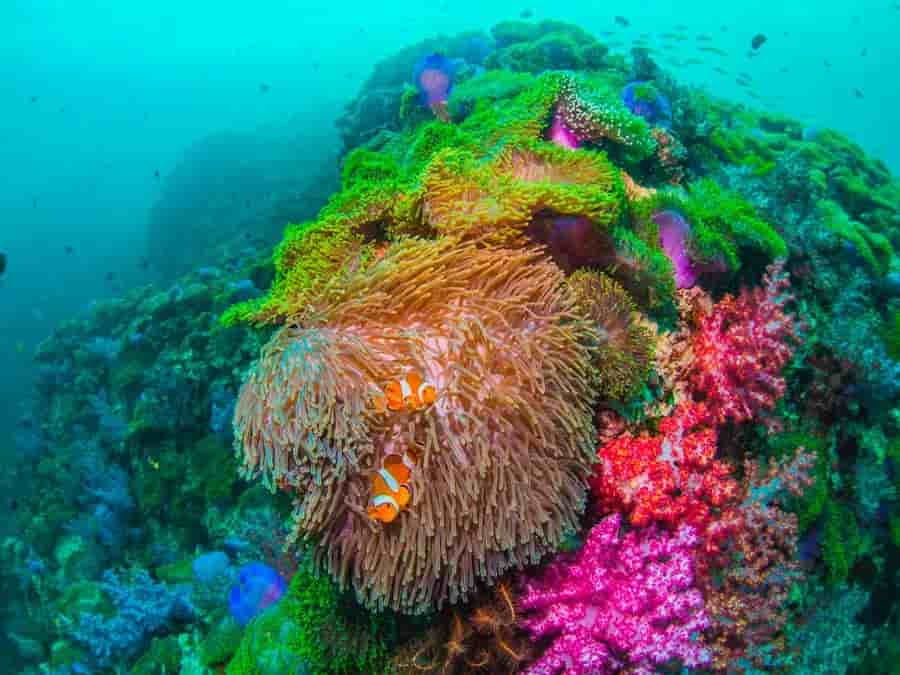 Thumbnail 6 Thumbnail 6