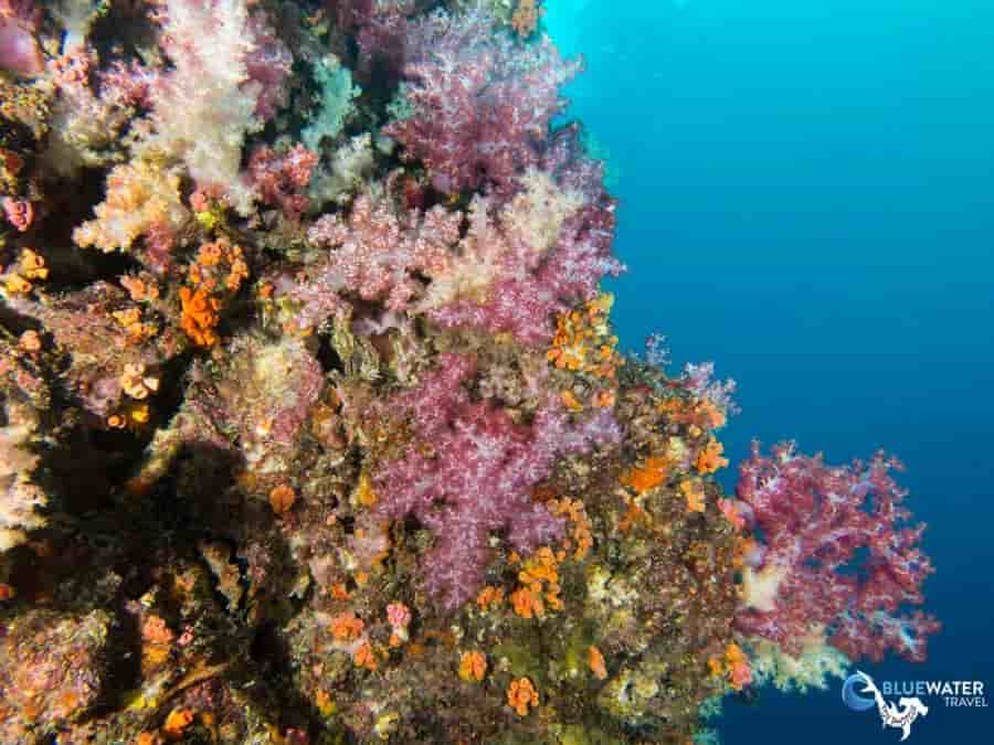 Thumbnail 7 Thumbnail 7