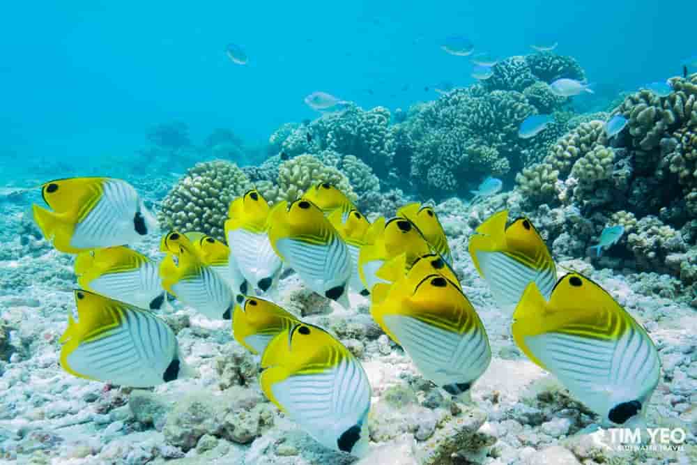 Thumbnail 2 Thumbnail 2