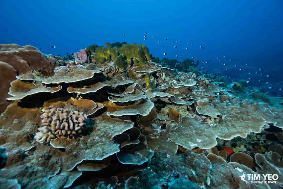 Thumbnail 3 Thumbnail 3