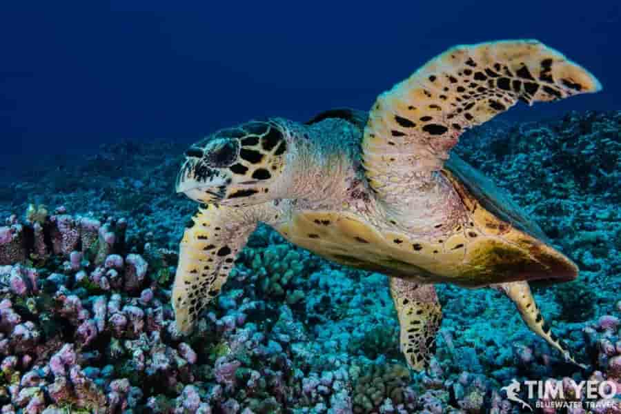 Thumbnail 2 Thumbnail 2