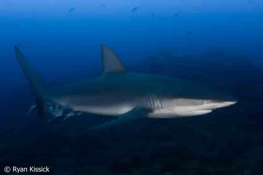 Thumbnail 3 Thumbnail 3