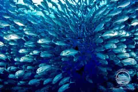 Thumbnail 4 Thumbnail 4