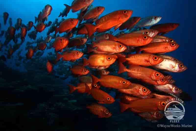 Thumbnail 5 Thumbnail 5