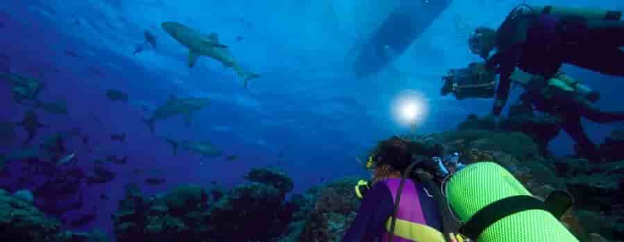 Thumbnail 2 Thumbnail 2