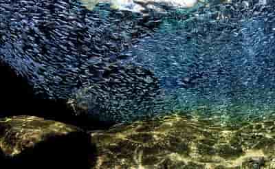 Thumbnail 4 Thumbnail 4