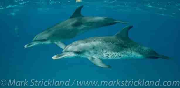 Thumbnail 2 Thumbnail 2