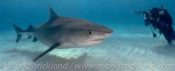 Thumbnail 4 Thumbnail 4