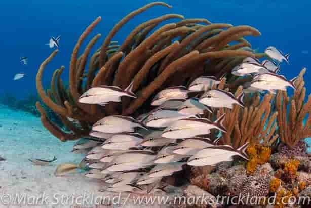 Thumbnail 5 Thumbnail 5