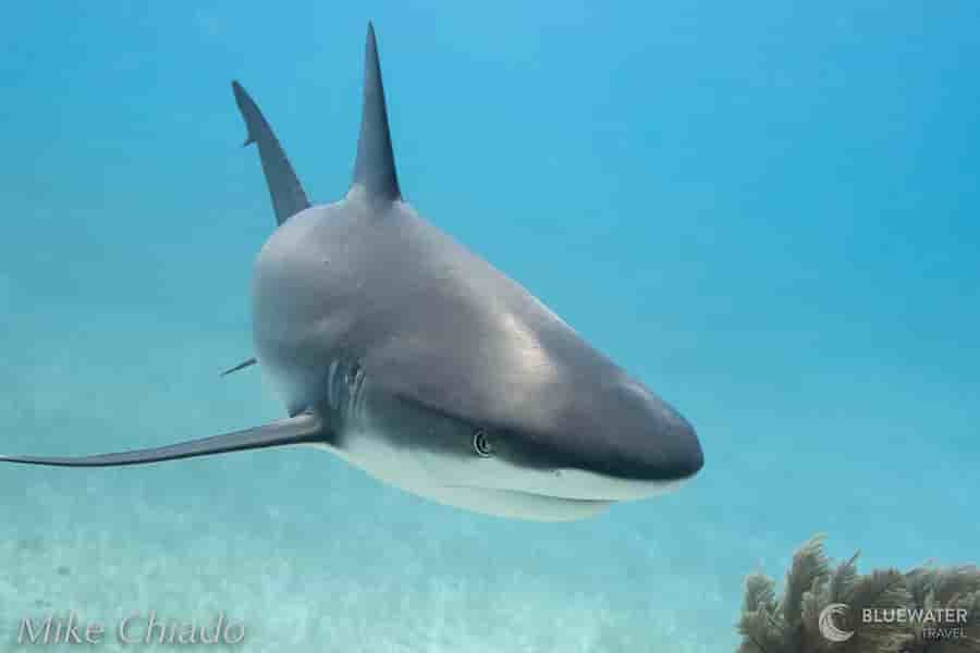 Thumbnail 2 Thumbnail 2