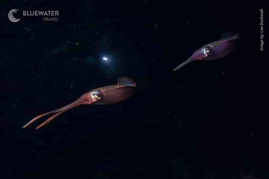 Thumbnail 3 Thumbnail 3