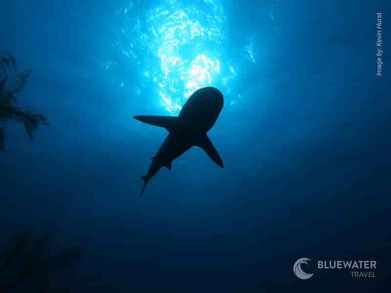 Thumbnail 4 Thumbnail 4