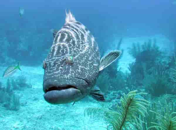 Thumbnail 6 Thumbnail 6