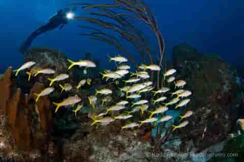 Thumbnail 2 Thumbnail 2