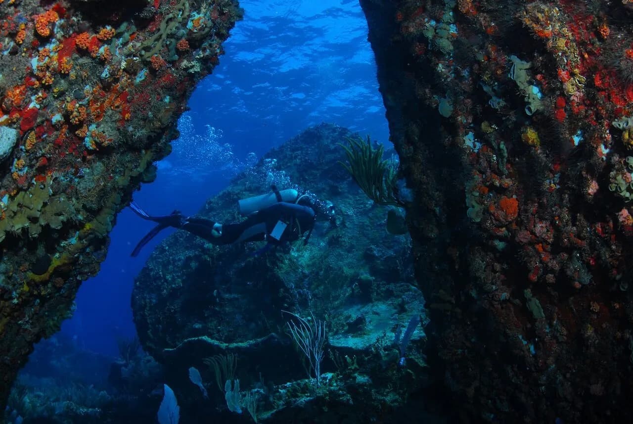 Best Scuba Diving in British Virgin Islands - image Best Scuba Diving in British Virgin Islands - image