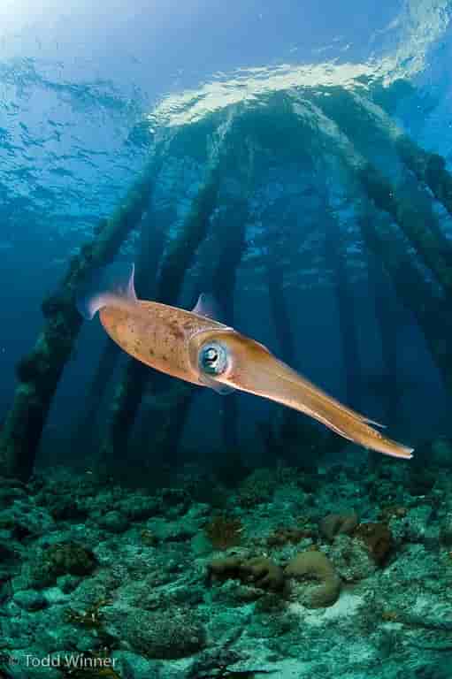 Thumbnail 1 Thumbnail 1