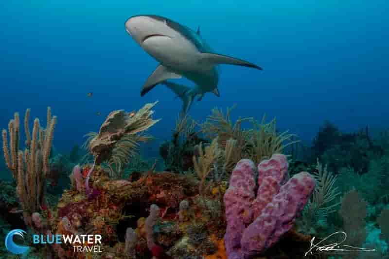 Thumbnail 1 Thumbnail 1