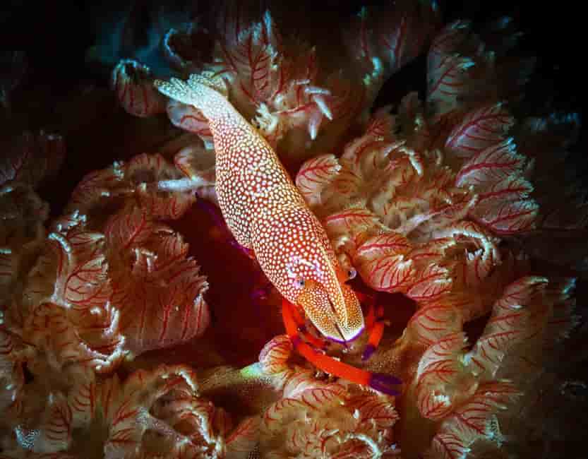 Thumbnail 3 Thumbnail 3