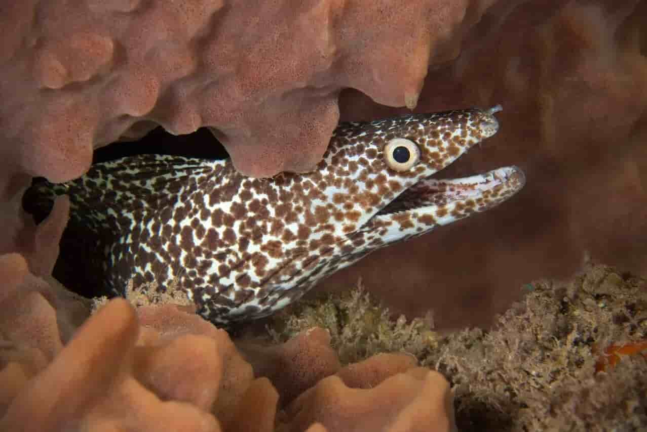 Thumbnail 5 Thumbnail 5