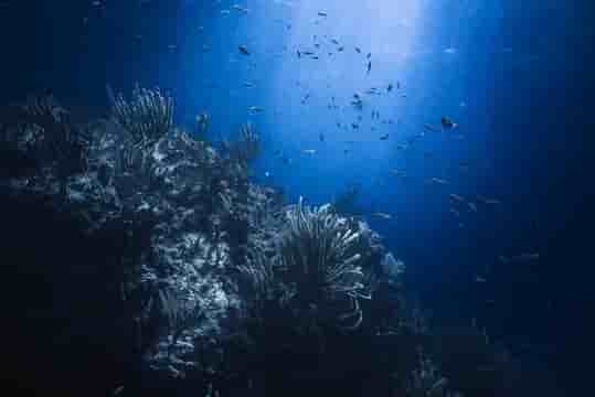 Thumbnail 2 Thumbnail 2