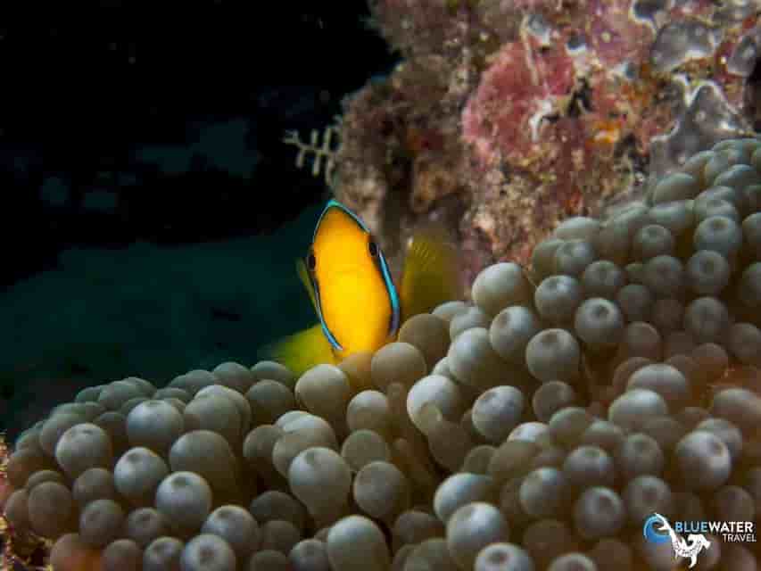 Thumbnail 4 Thumbnail 4